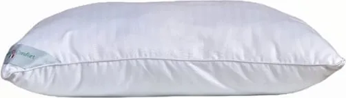 Pamja 1