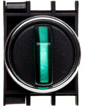 Buton i çelësit rrotullues Emas (T0-B100SL20Y), 2 pozicione, 1Z, 100-250 V, i gjelbër