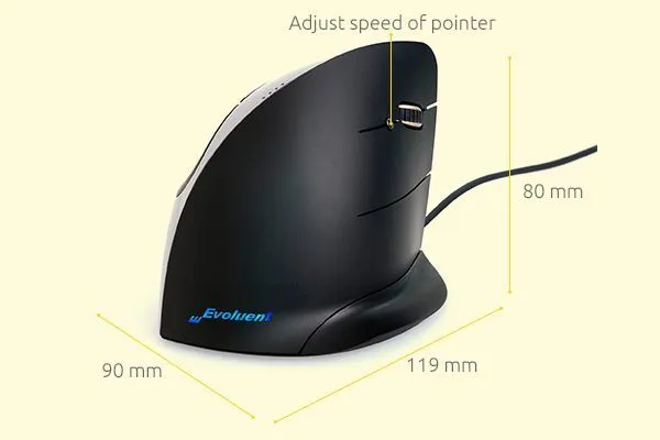 Pamja 2