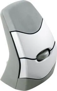 Pamja 1