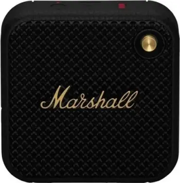 Boks Marshall Willen, Bluetooth, i zi