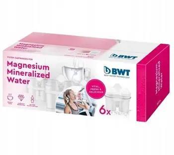 Filtra uji BWT Mg2+, paketim 6 copë, formë ovale, të bardhë