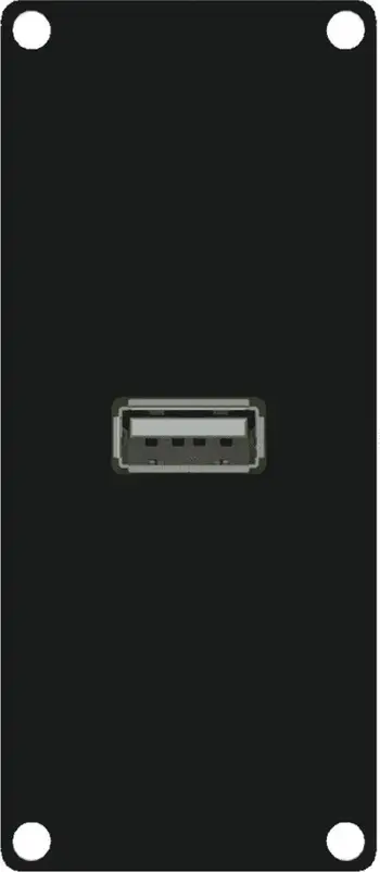 Modul USB Caymon CASY161/B, USB 2.0 Type A, i zi