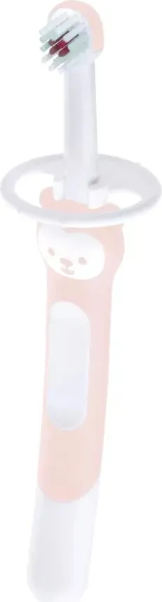 Pamja 1