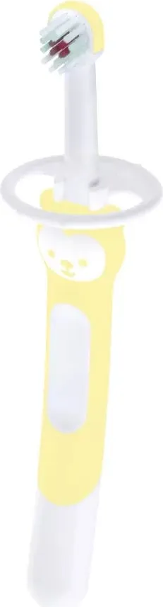 Pamja 3