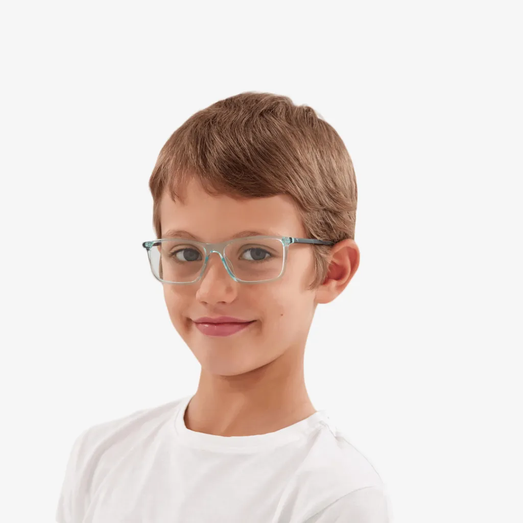 Pamja 3