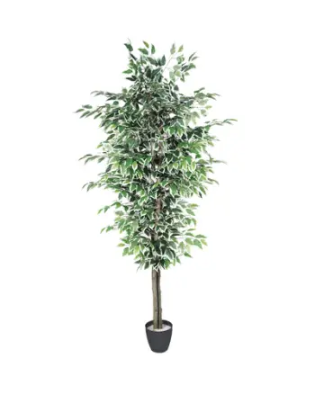 Lule artificiale Verde Decor Ficus Variegate Tree, 125cm