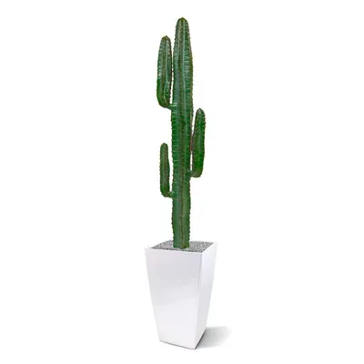 Lule artificiale Verde Decor Cactus Euphorbia, 153cm - 2