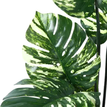 Lule artificiale Verde Decor Monstera Variegate, 150cm