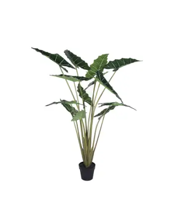 Lule artificiale Verde Decor Alocasia, 160 cm
