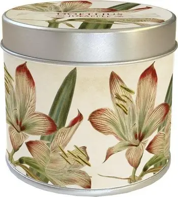 Qiri aromatik Skona Ting 202, 205g, aromë amaryllis dhe mollë, i bardhë