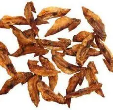 Shpërblim për qen Arami Turkey Feather, pupla gjeli deti, 200g