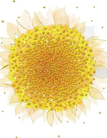 Kartolinë urimi Turnowsky B6 Sunflower, me zarf, pa tekst