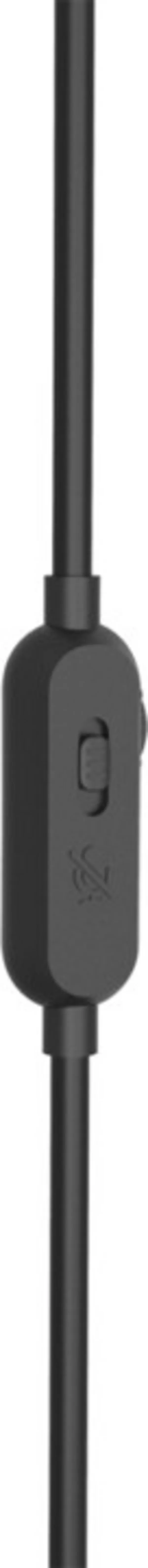 Pamja 5