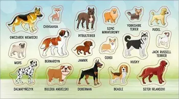 Ngjitëse Ranok Dog Breeds, set 10 copë, motive qenësh, shumëngjyrëshe