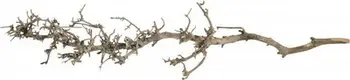 Dekor akuariumi Terra Natura Southern Root M, 25-35 cm, kafe natyrale