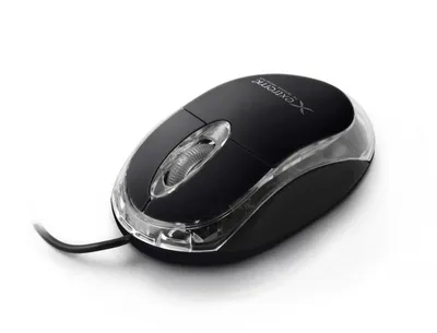 Maus Extreme XM102K, USB Type-A, i zi - 1