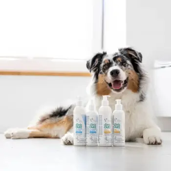 Kondicioner për qime VetExpert Clinic Care microBiome Balance për qen dhe mace, 150 ml
