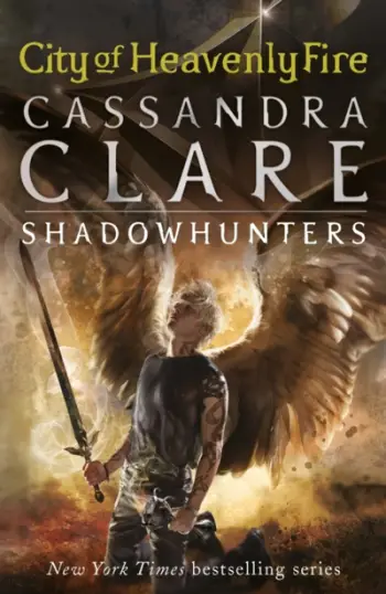 City Of Heavenly Fire The Mortal Instruments Vol 6 - Cassandra Clare