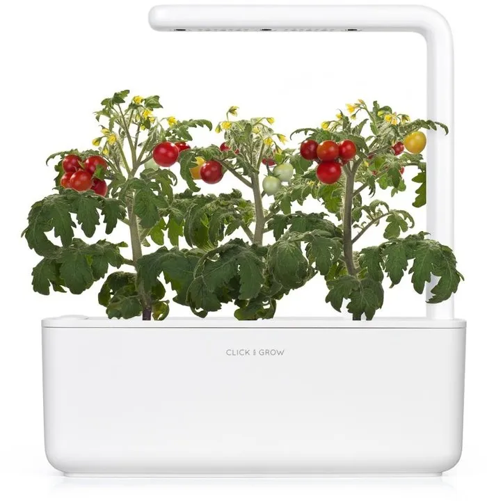 Farë e domateve të vogla për kopshtin SMART Click and Grow - 3