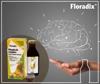 Floradix Vitamin-B-COMPLEX, 250 ml - Shurup bimor - 3