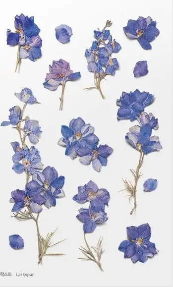 Sticker dekorativ Appree Flowers Tall Larkspur, PET, 150x94mm, shumëngjyrësh