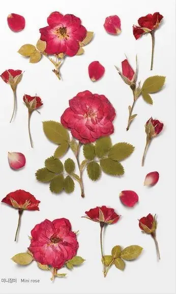 Sticker dekorativ Appree Roses, motive lulesh, PET, transparent