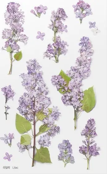 Stikera dekorative Appree Flowers Black Lilac, PET, fletë 150x94mm, shumengjyrëshe