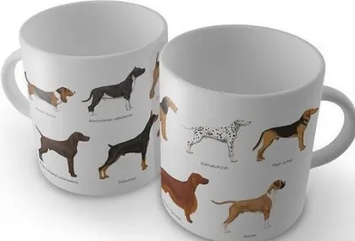 Filxhan Soliton Dogs, i bardhë - 1