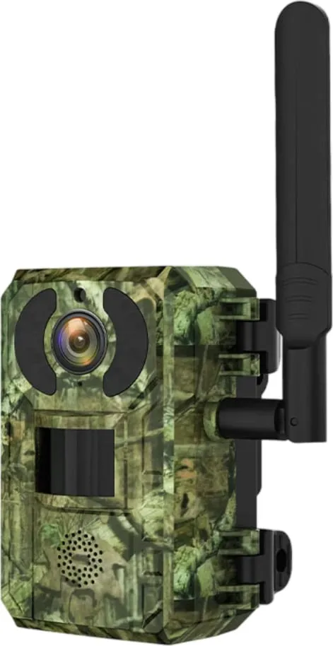 Pamja 1
