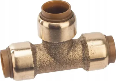 Pamja 1