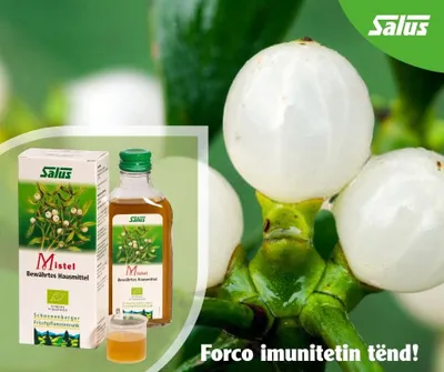Salus - MISTEL, 200 ml - Lëng bimor për sistem imunitar - 3