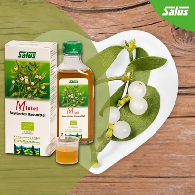 Salus - MISTEL, 200 ml - Lëng bimor për sistem imunitar - 4