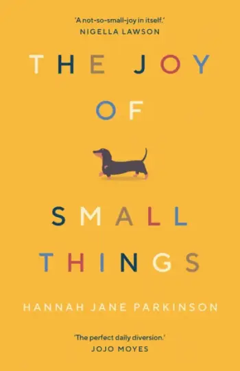 Joy Of Small Things - Hannah Jane Parkinson