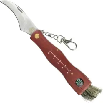 Thikë për kërpudha Speck CC-GC105 me busull, Bronzi