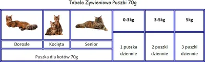 Pamja 3