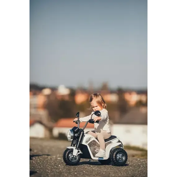 Pamja 1