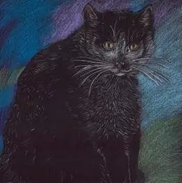 Fletore Emg Pastel Cat, format i vogël, dizajn me mace, shumëngjyrëshe