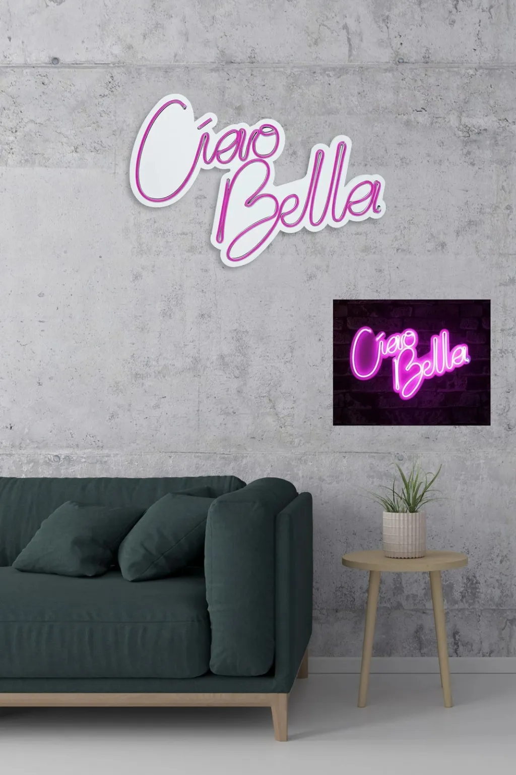 Pamja 5