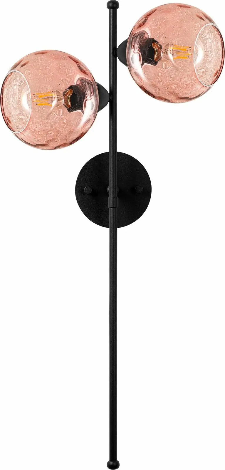 Pamja 5