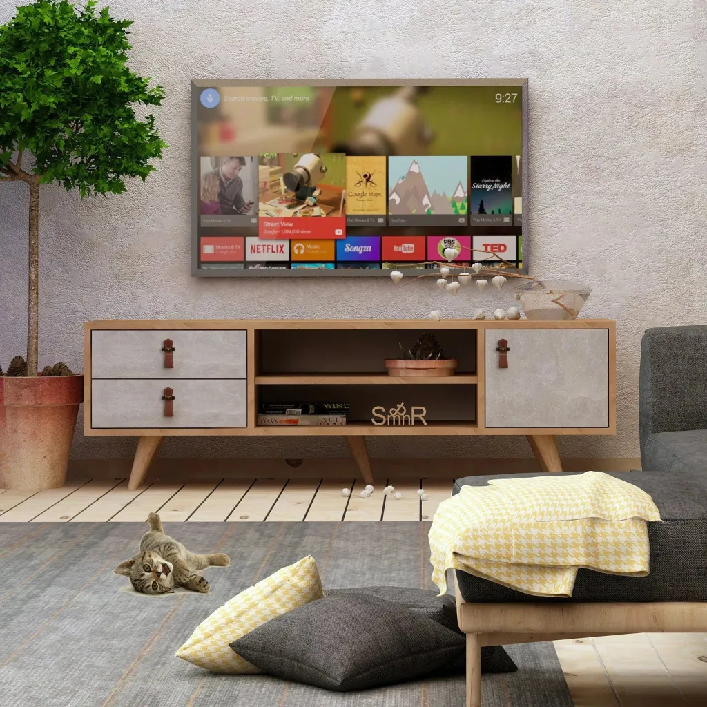 Njësi TV Seva, lis, bardhë - 1