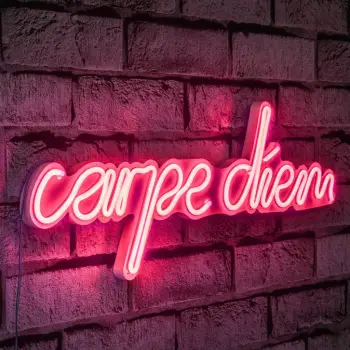 Dekor dritash LED plastike, Carpe Diem, ngjyrë rozë