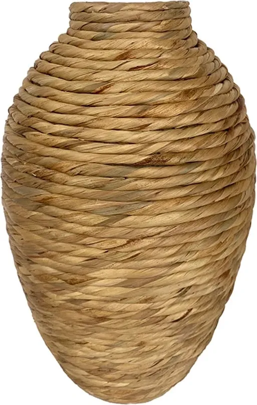 Pamja 1