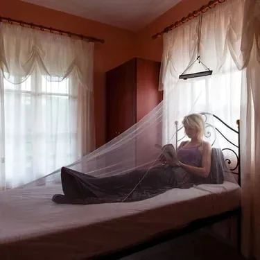 MicroNet Single Mosquito Net - 2