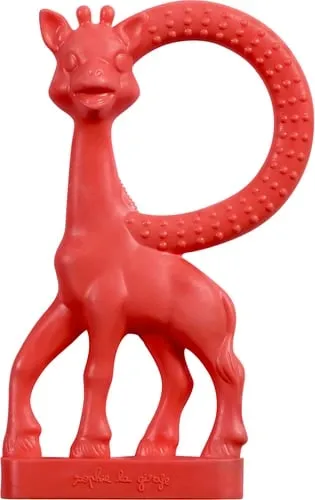 Pamja 1