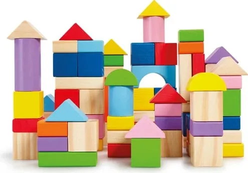 WDLTS 80 PCS BLOCKS FSC - 1