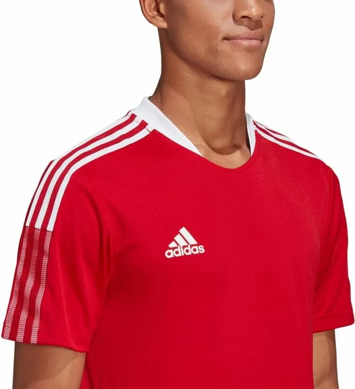 Pamja 3