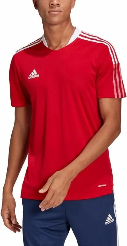 Pamja 7