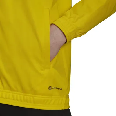 Pamja 2