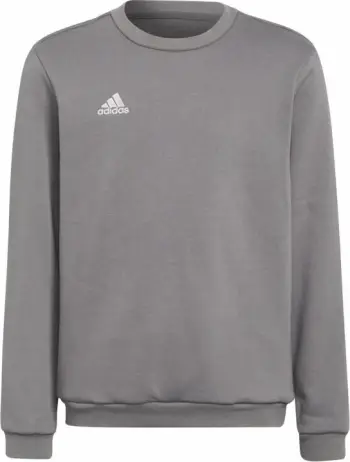 Bluzë sportive për fëmijë Adidas Entrada 22 Jr H57477, pambuk poliester, me fleece, gri